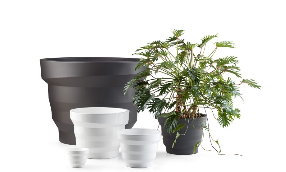 PLUST MINI REBELOT LIGHT INDOOR C/KIT MINI LED - NEUTRO