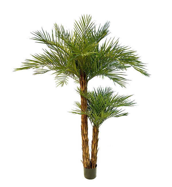 VERDEVIP-Palma-Areca-Semi-Naturale-UVR-Tronco-ricoperto-di-fibra-di-cocco-cm-210