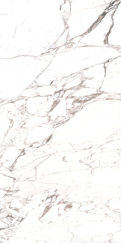 CASALGRANDE CALACATTA EXTRA LUC RET 60x60