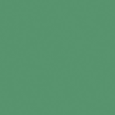 ENERGIEKER UNICOLORS VERDE 20x20 R10