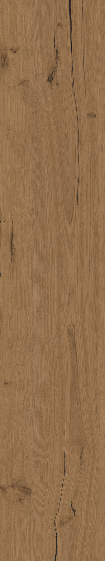 ENERGIEKER RETT ROBUR COCOA 20x120