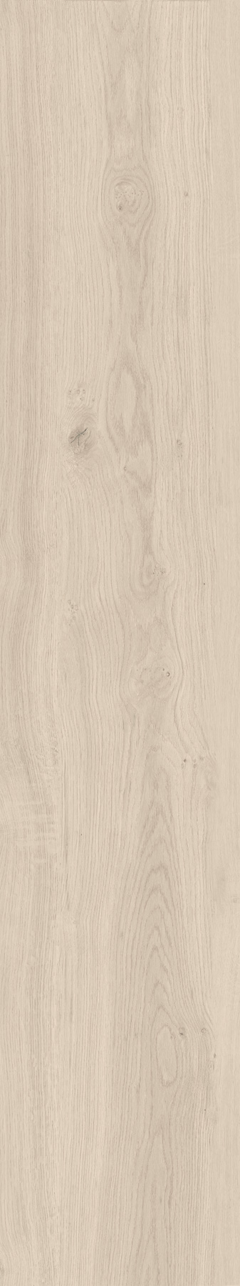 ENERGIEKER RETT ROBUR OAT 20x120