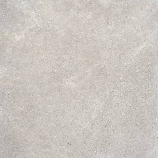 REFIN COQUILLE GRIS MATT PRO R 60x60