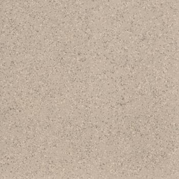 IMOLA PARADE Beige Nat. 120x120 ( cod.art. PRDE RB120B RM ) Nat. Opaco