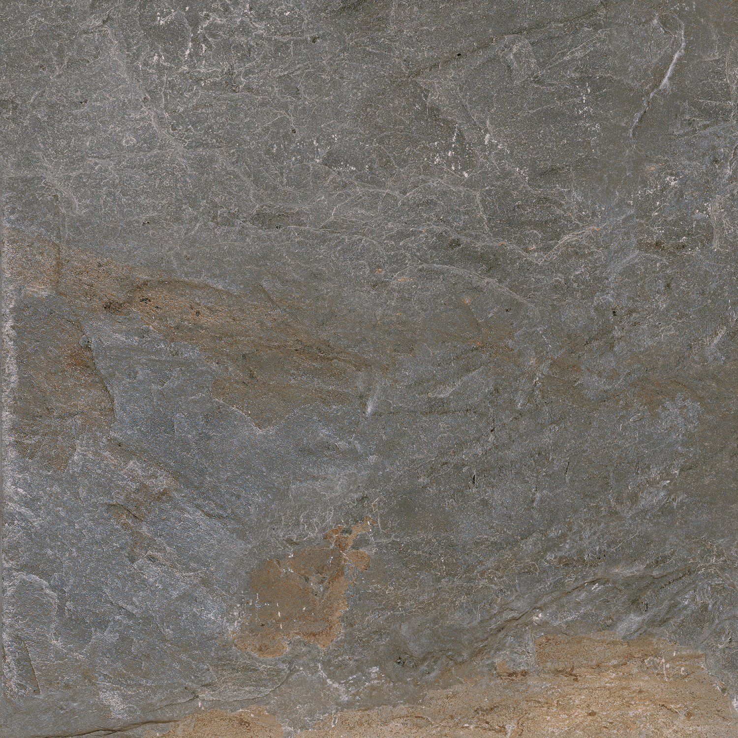 GREY DOLOMITE I60X120