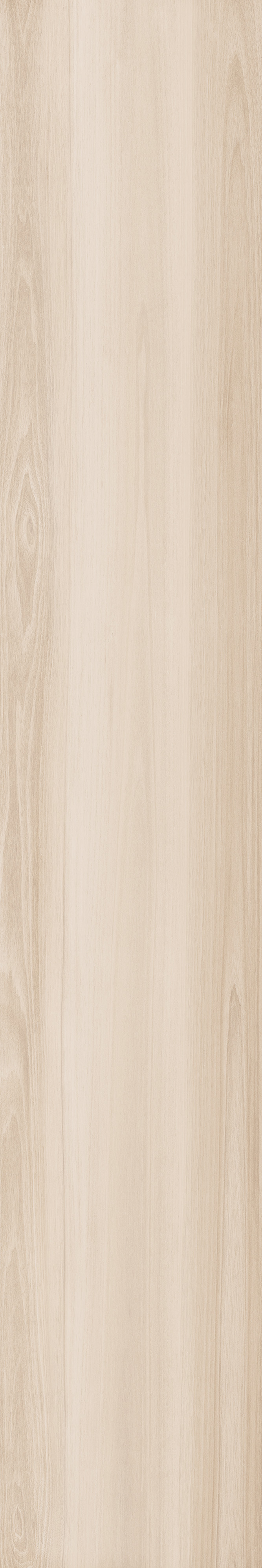 CAESAR LF.NORDIC 20X120 RET