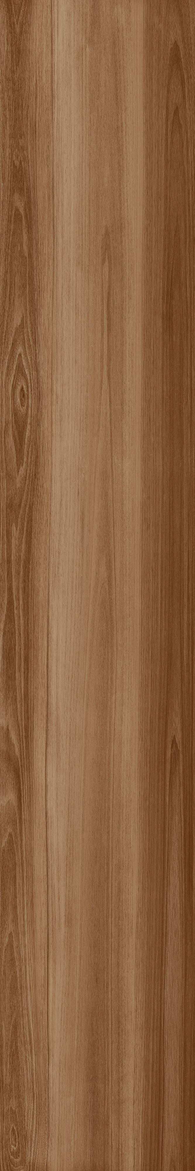 CAESAR LF.NOCE 20X120 RET