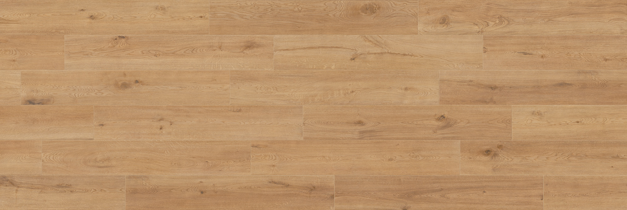 CAESAR RR.WHEAT 30X120 XT