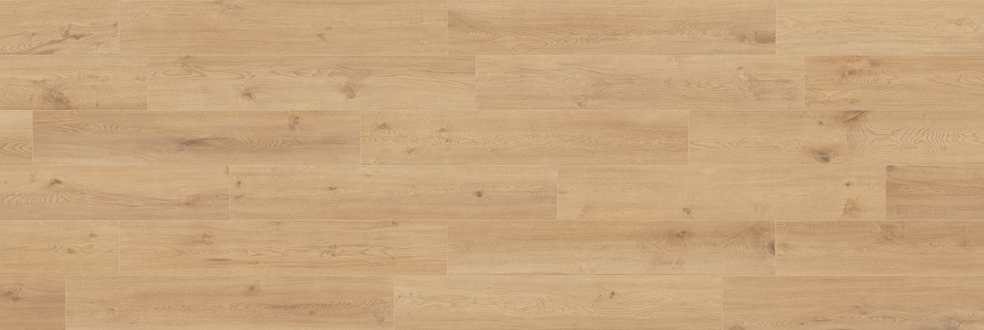 CAESAR RR.NUT 20X180 RT