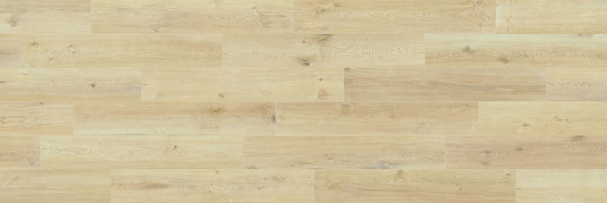 CAESAR RR.ALMON.20X120 RT