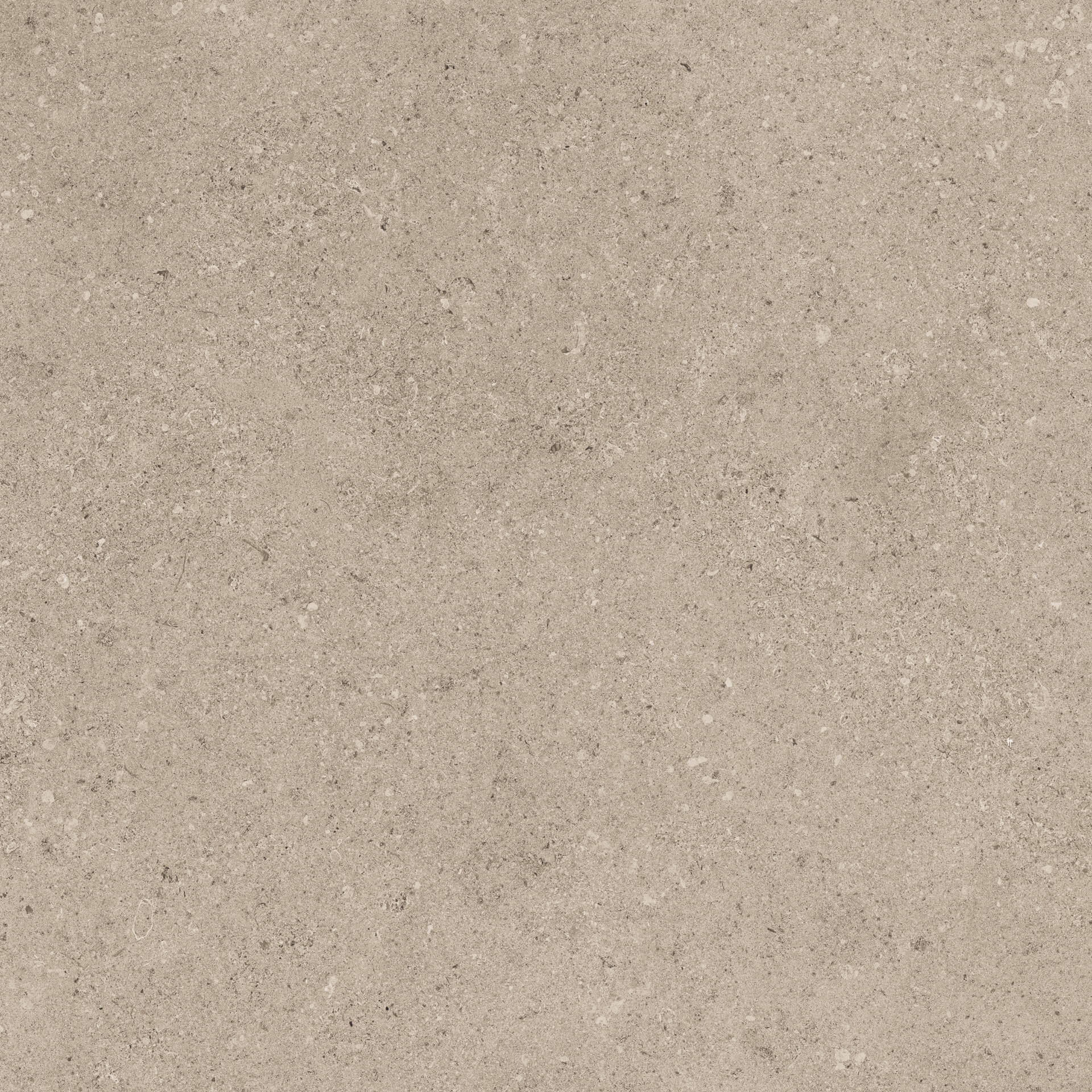 CAESAR PR.TAUPE 30X60 RT8PZ