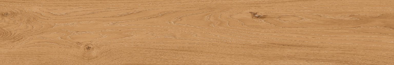 NAXOS AUTHENTIC  ARTFUL NAT.RET. 20X120