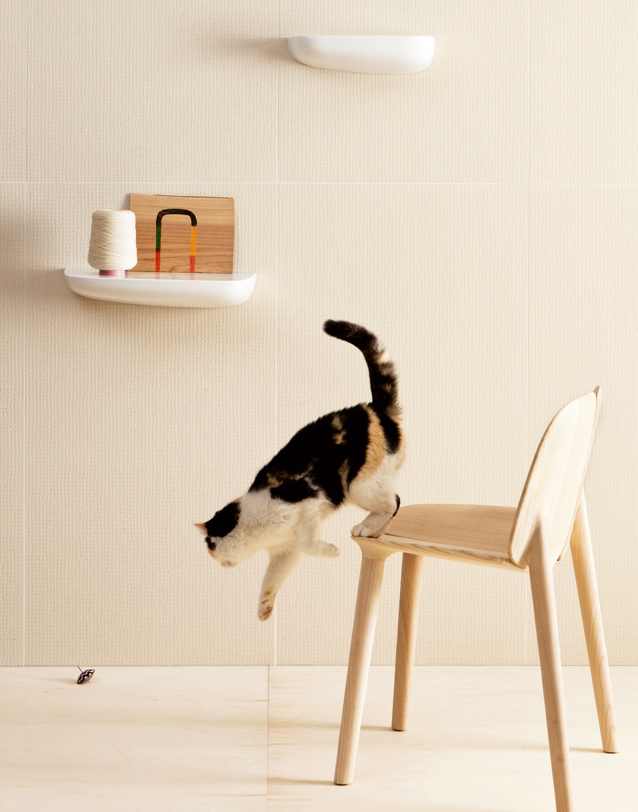 UP NATURAL BLANC 60x120