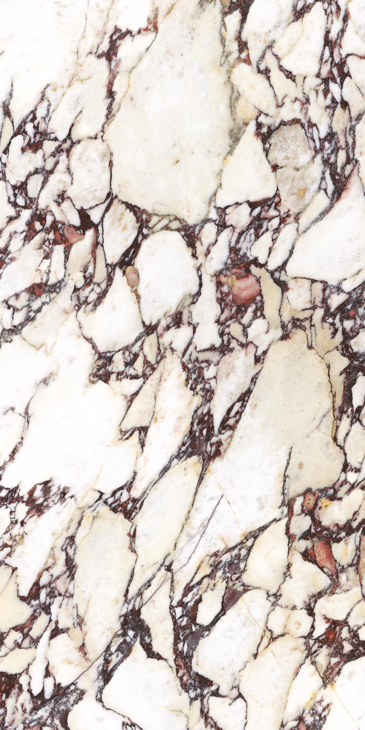 ENERGIEKER LCP CALACATTA VIOLA 120x120