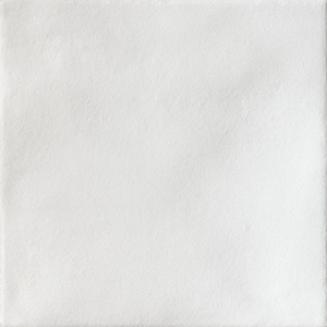 IRIS CERAMICA BDA BOTTEGA D ARTE BIANCO SEPPIA GLOSSY 10X10