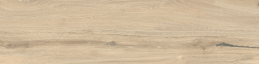 RONDINE TIMELESS ECRU RET 20x120