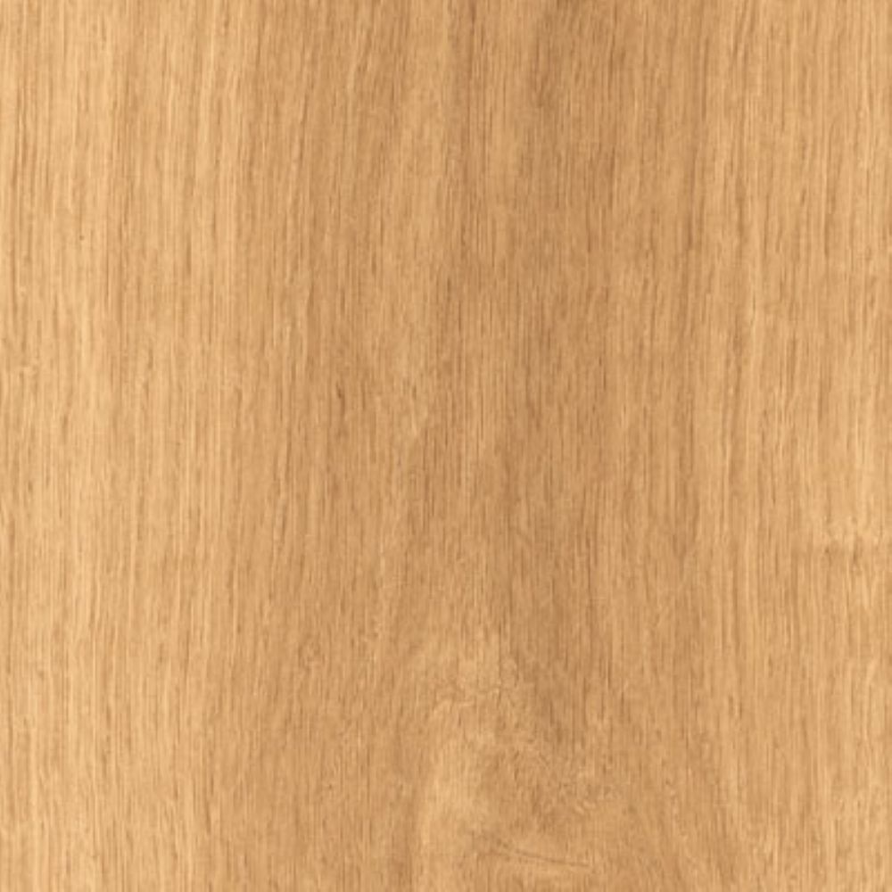 RONDINE DREAM NUT RET 20x120