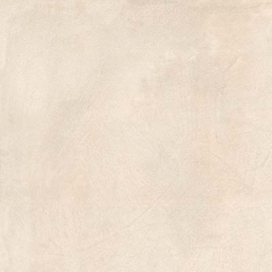 RONDINE SETA BEIGE RET 80x80