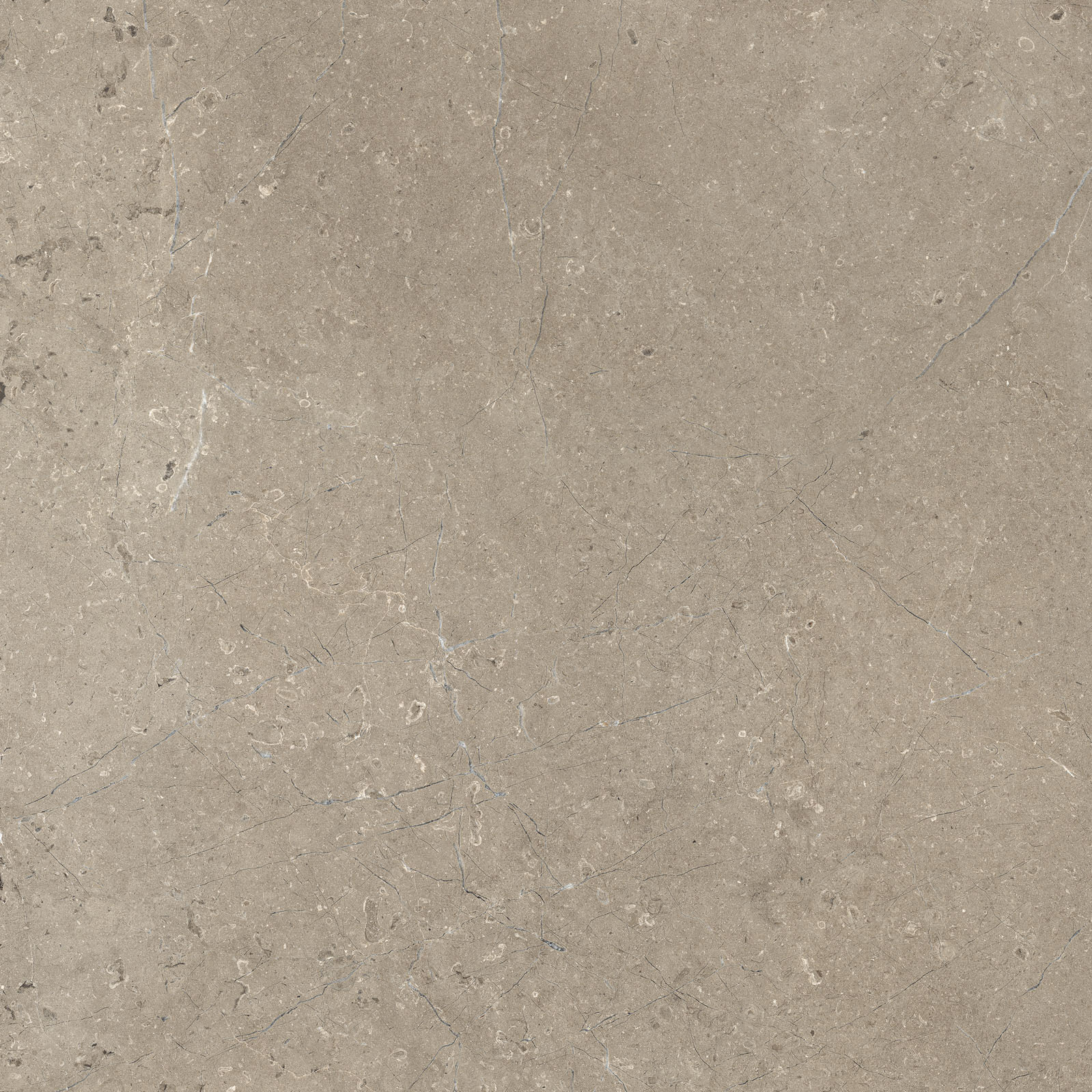 MARAZZI-MYSTONE-LIMESTONE-TAUPE-VELVET