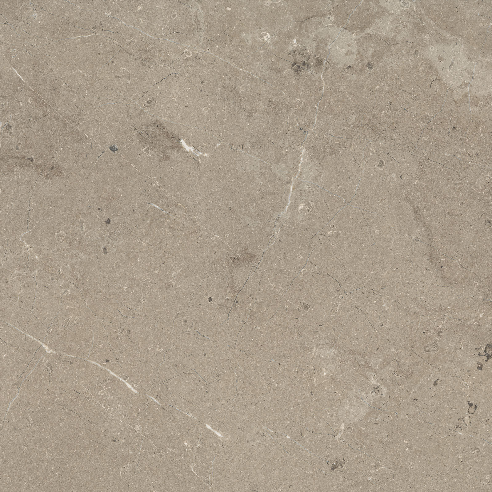 MARAZZI-MAGNIFICA-LIMESTONE-TAUPE