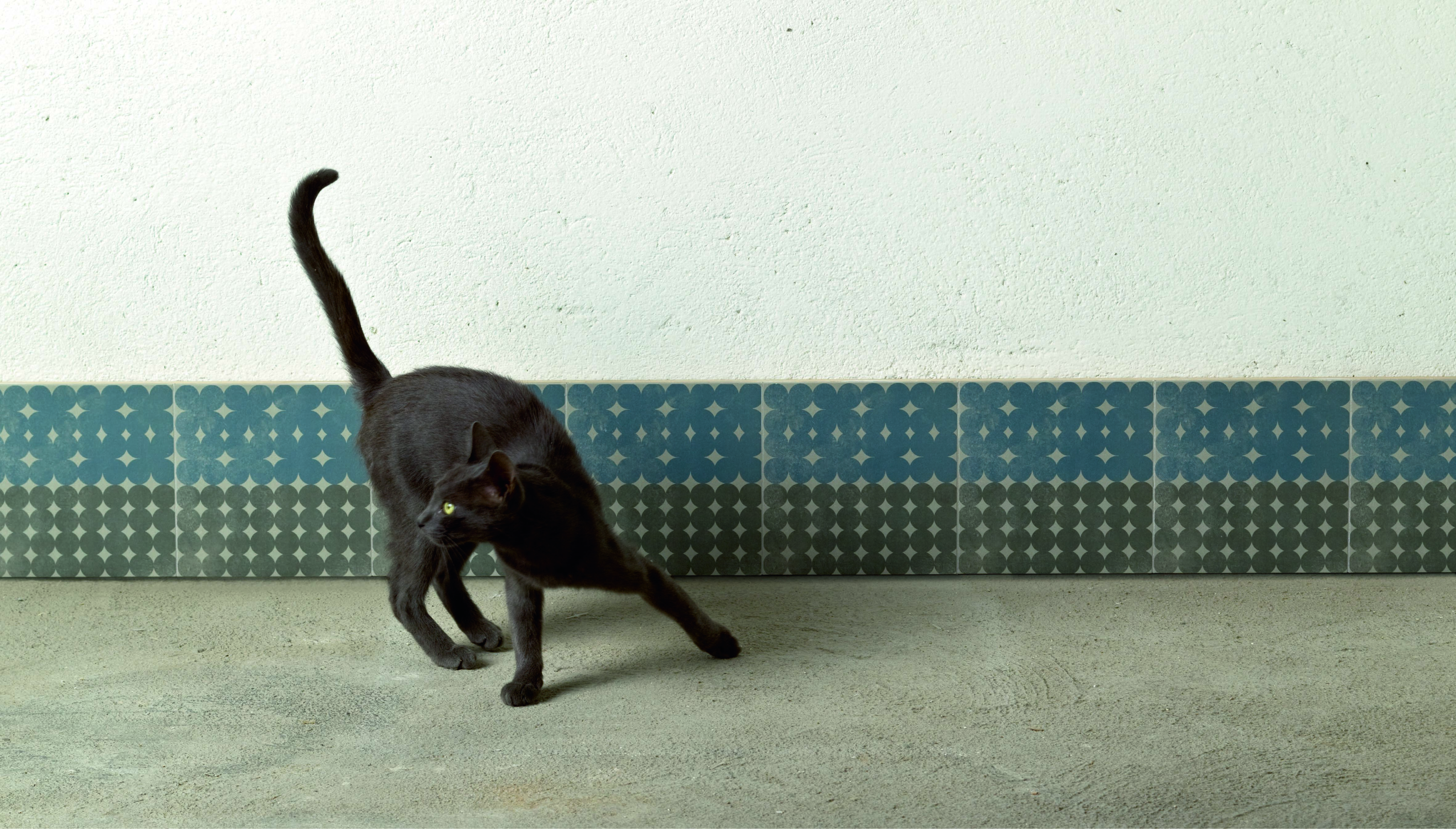 MUTINA-AZULEJ-TREVO-GRIGIO-20x20