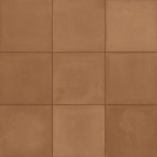 20x20  D_SEG BLEND TER