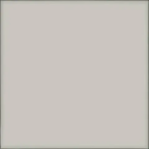 REFIN VETRI FUME' LUCIDO R 60x60