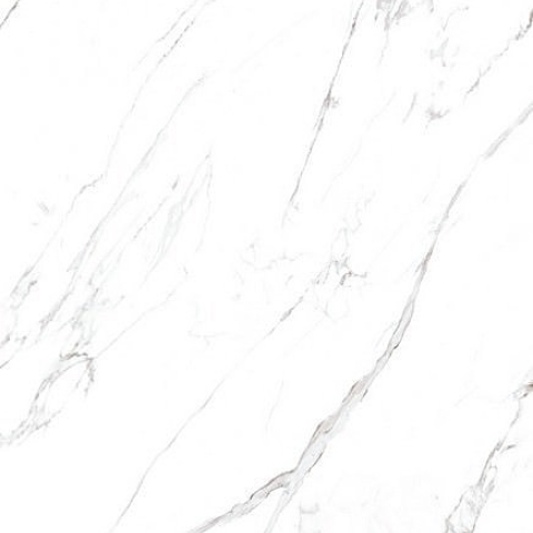 CASALGRANDE CARRARA HONED RET 60x120