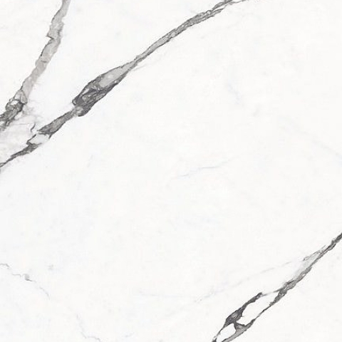 CASALGRANDE STATUARIO FINE HONED RET 60x60