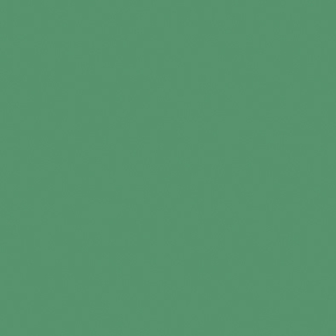 ENERGIEKER UNICOLORS VERDE 20x20 R9