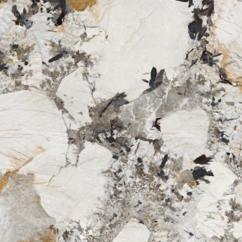 ENERGIEKER LCP PATAGONIA 60x120