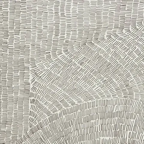 REFIN FOSSIL BROWN R 60x60