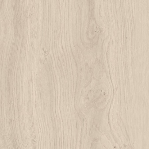 ENERGIEKER RETT ROBUR OAT 20x120