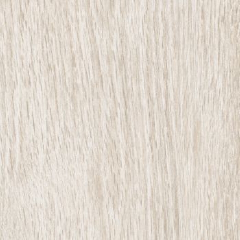 CAESAR MM.SCANDI STAVE