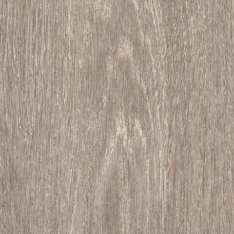 CAESAR MM.ALLUR.STAVE