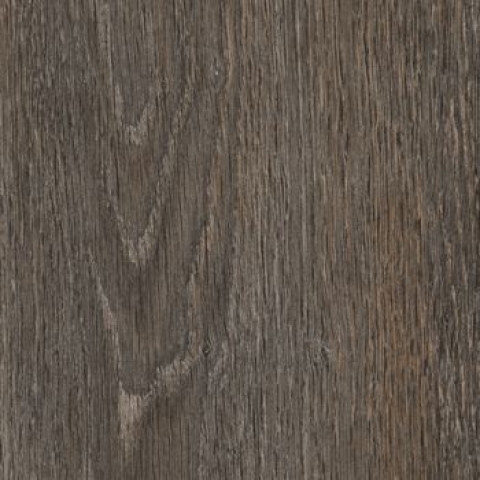 CAESAR MM.ECLEC.STAVE