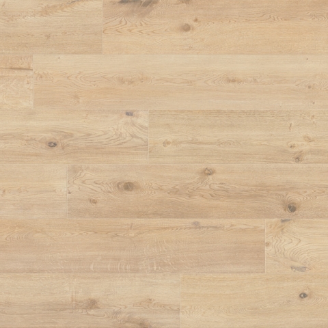 CAESAR RR.ANISE 20X180 RT