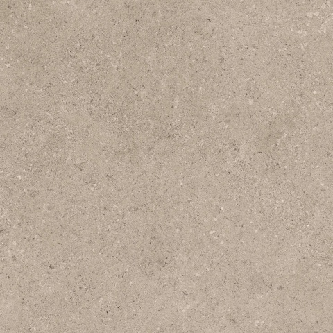 CAESAR PR.TAUPE 30X60 RT8PZ