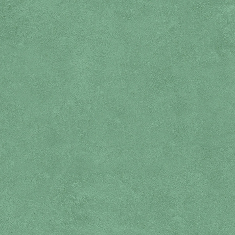 NAXOS TIMELESS  EDERA 32X80,5