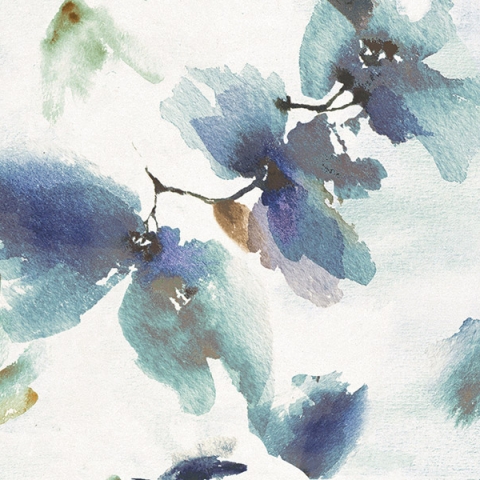 NAXOS TIMELESS  KIMONO 32X80,5