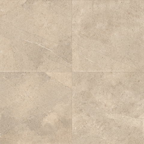 MONOCIBEC ARCHE' LOGOS NAT.RET. 60X60