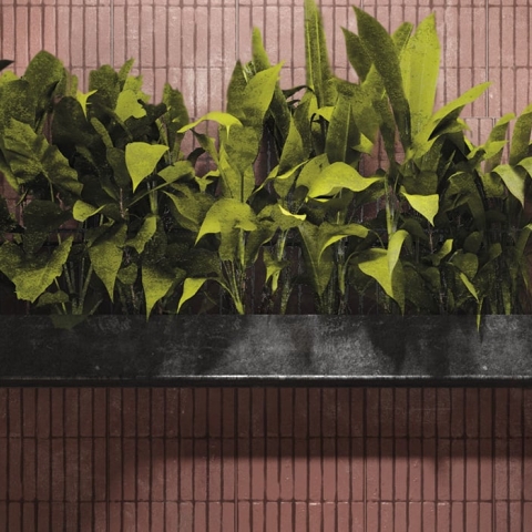 URBAN ACTIVE AMARANTH FRAME ACTIVE SQ. 75X25