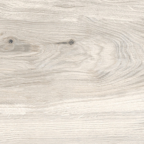 RONDINE TIMELESS IVORY RET H20 40x120