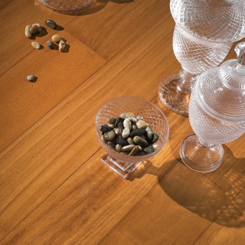 EASY PLANCIA DOUSSIE'AFRICA  'Standard' mm 10x120x700