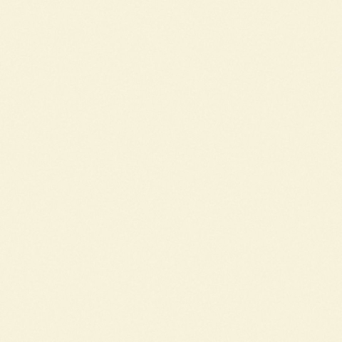 RONDINE VOLUME WHITE 3D LADDER 6x25