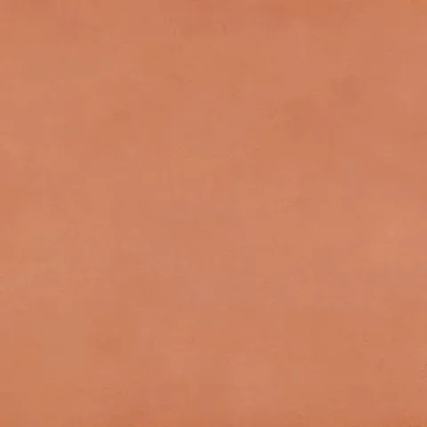 RONDINE AUREA ROSSORAME RET 60x120